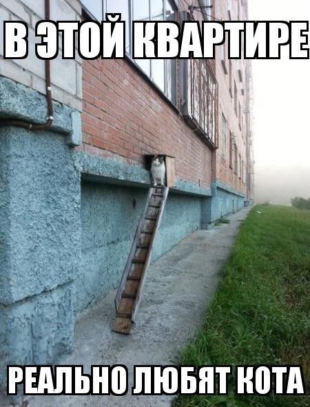 зы ПШЬНП ЛЮБЯТ ШПД