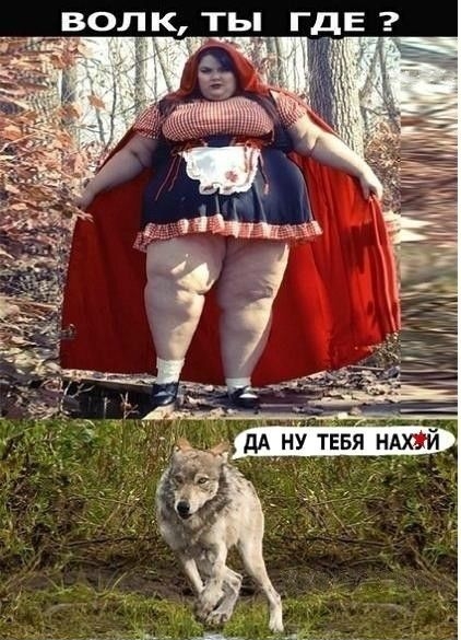 ВОЛК ТЬ ГДЕ Ё _ _