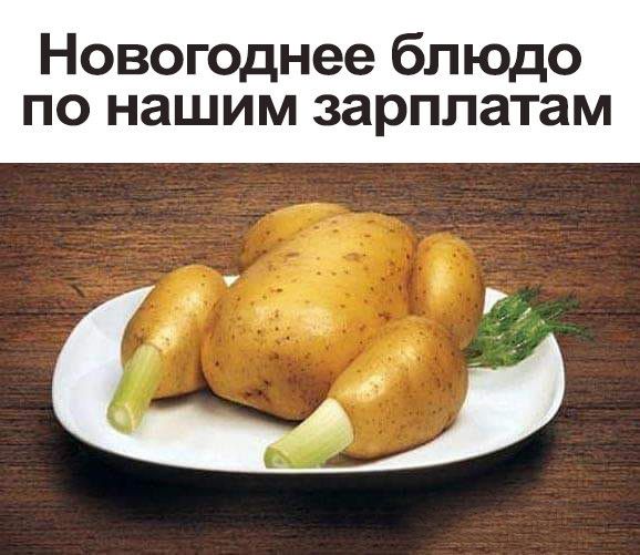 Новогоднее блюдо по нашим зарплатам