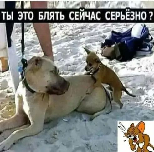 ТЫ ЭТО БЛЯТЬ СЕЙЧАС _ЕСРЬЁЗНО