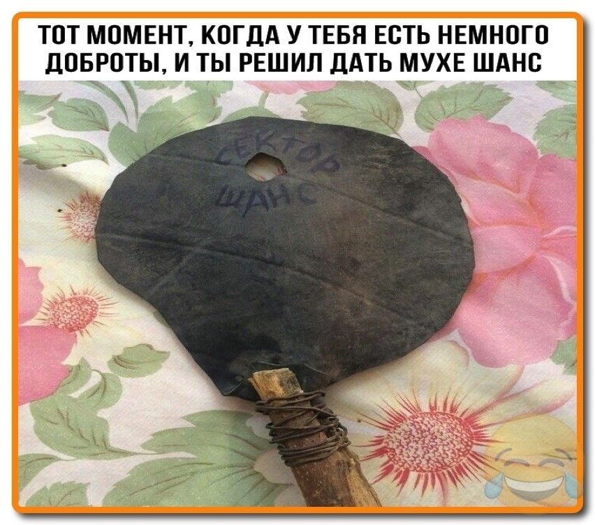 ТОТ МОМЕНТ КОГДА У ТЕБЯ ЕСТЬ НЕМНОГО ЦОБРОТЫ И ТЫ РЕШИЛ ДАТЬ МУХЕ ШАНС
