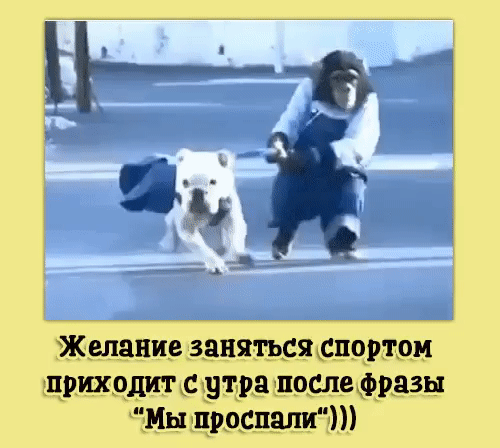 Жидкие занящщспчртои КЧРИХ9НЪРЗКПОБЛВФРДЗН Шыщгвдпалтп