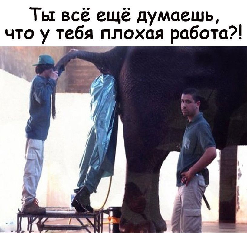 Ты всё ещё думаешь что у тебя плохая работа Щ дцп