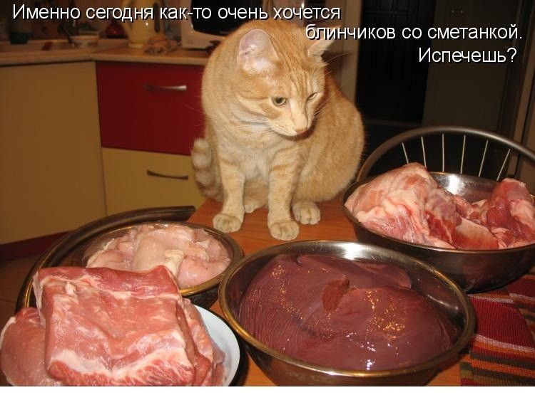 Именно сегодня как то очень хочётся чиков со сметанкой _ Испечешь