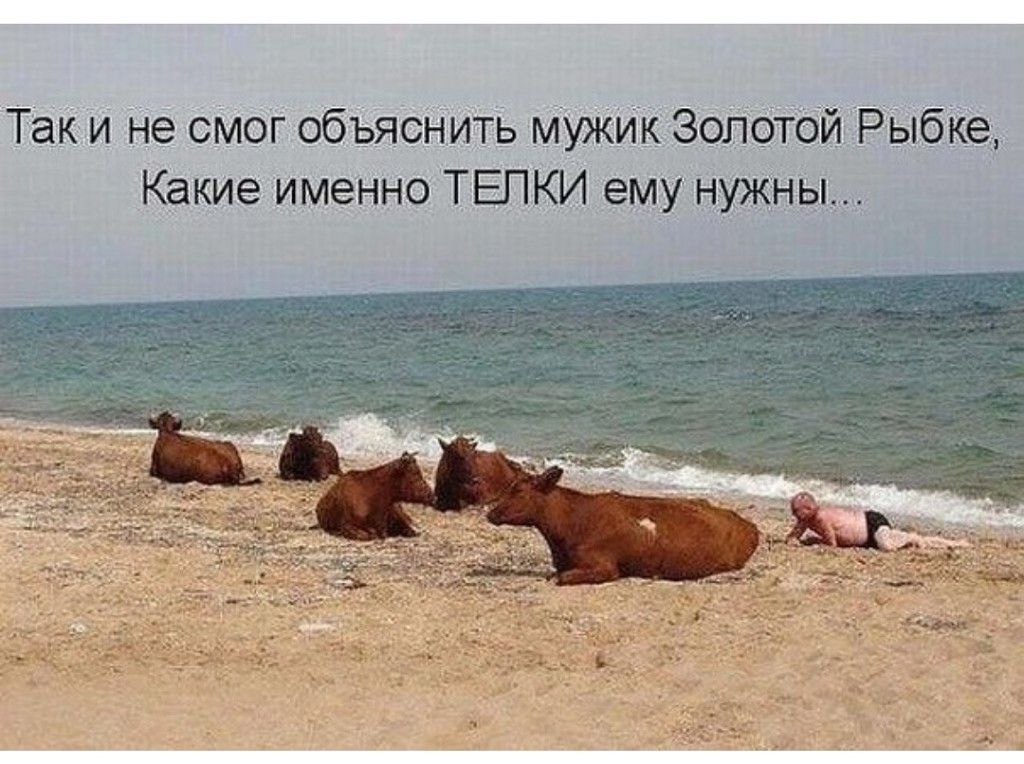 Таки не смог обьясНить мужик ЗоЛОТбйЦРЫбКед Какие именно ТЕЛКИ ему н дНЬ____
