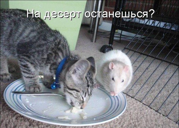 Ёешься