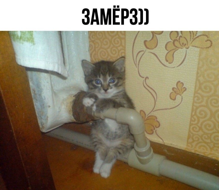 ЗАМЁРЗП