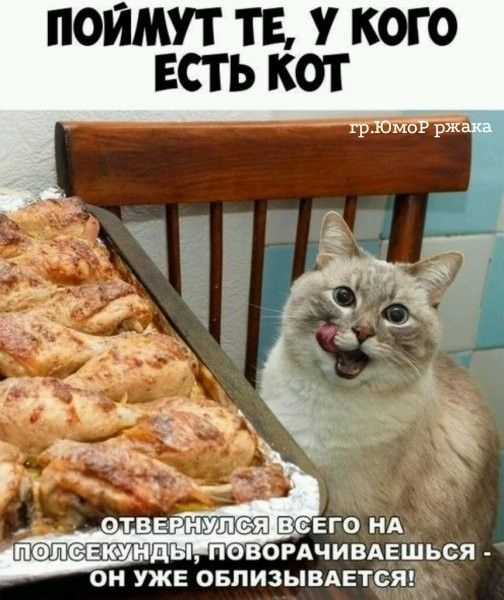 ПОЙДУТ ТЕ У КОГО ЛОН УЖЕ ОБЛ ИЗЫВАЕТСЯЫ