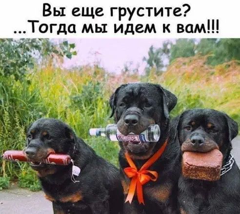 Вы еще грустите Тогда мы идем к вам У тд у и 9 г А мГаза 21