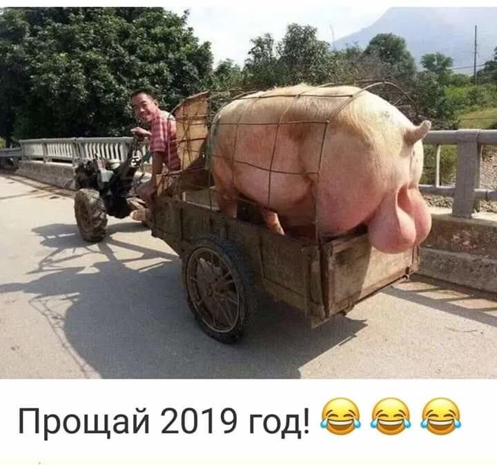 ящ_ц__ Ер Прощай 2019 год 9