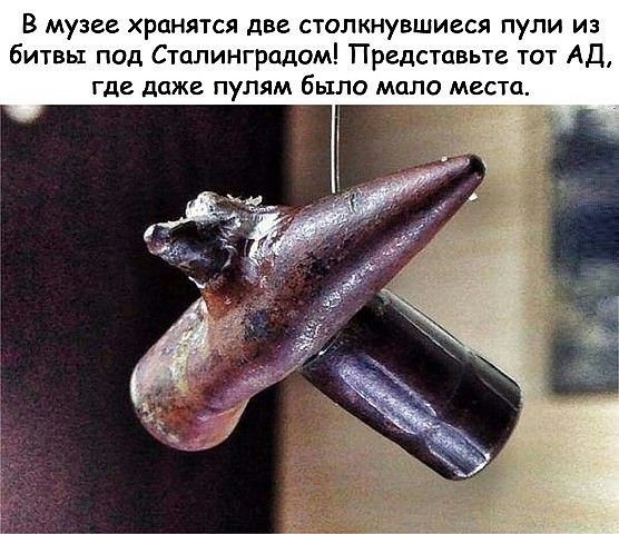 В музее хранятся две столкнувшиеся пули из битвы под Сталинградом Представьте тот АД где даже ПуПЯМ бЬШО МОЛО МЕСТО