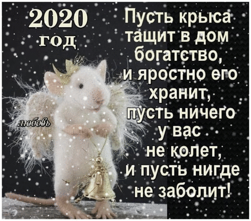 Ё 3Пусть крыса тащит в дом богдтствщ И_ пуСіъ нигде _ не заболит 1 Я