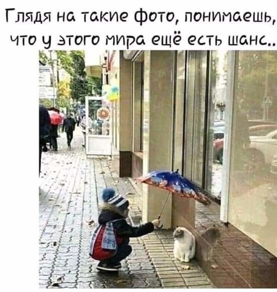 Глядя на такие фото понимаешь что Ч этого тираіеще есть шанс