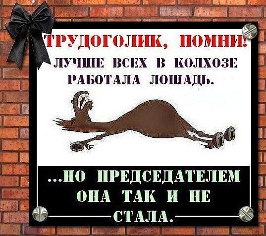 В КОЛХОЗЕ А ЛОЦПАДЬ по ПРЕДСЕДАТЕЛЕМ ош ты и ш 1 1ЁС1АЛА