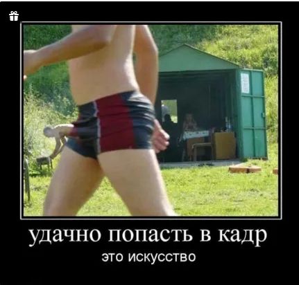 удачно попасть в кадр ЭТО ИСКУССТВО