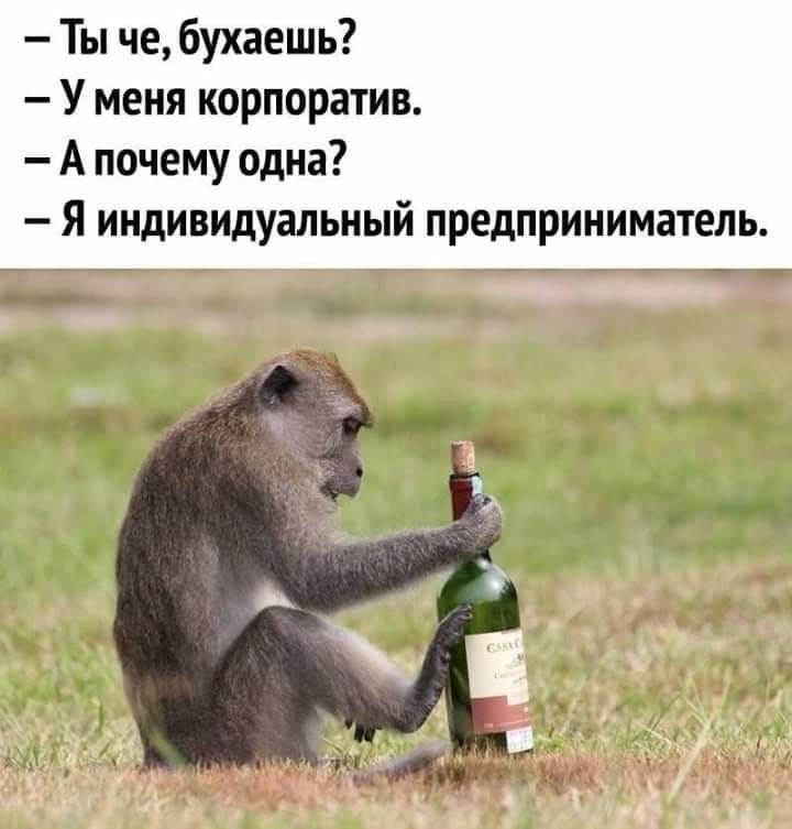 Ты че бухаешь У меня корпоратив А почему одна _ Я индивидуальный предприниматель