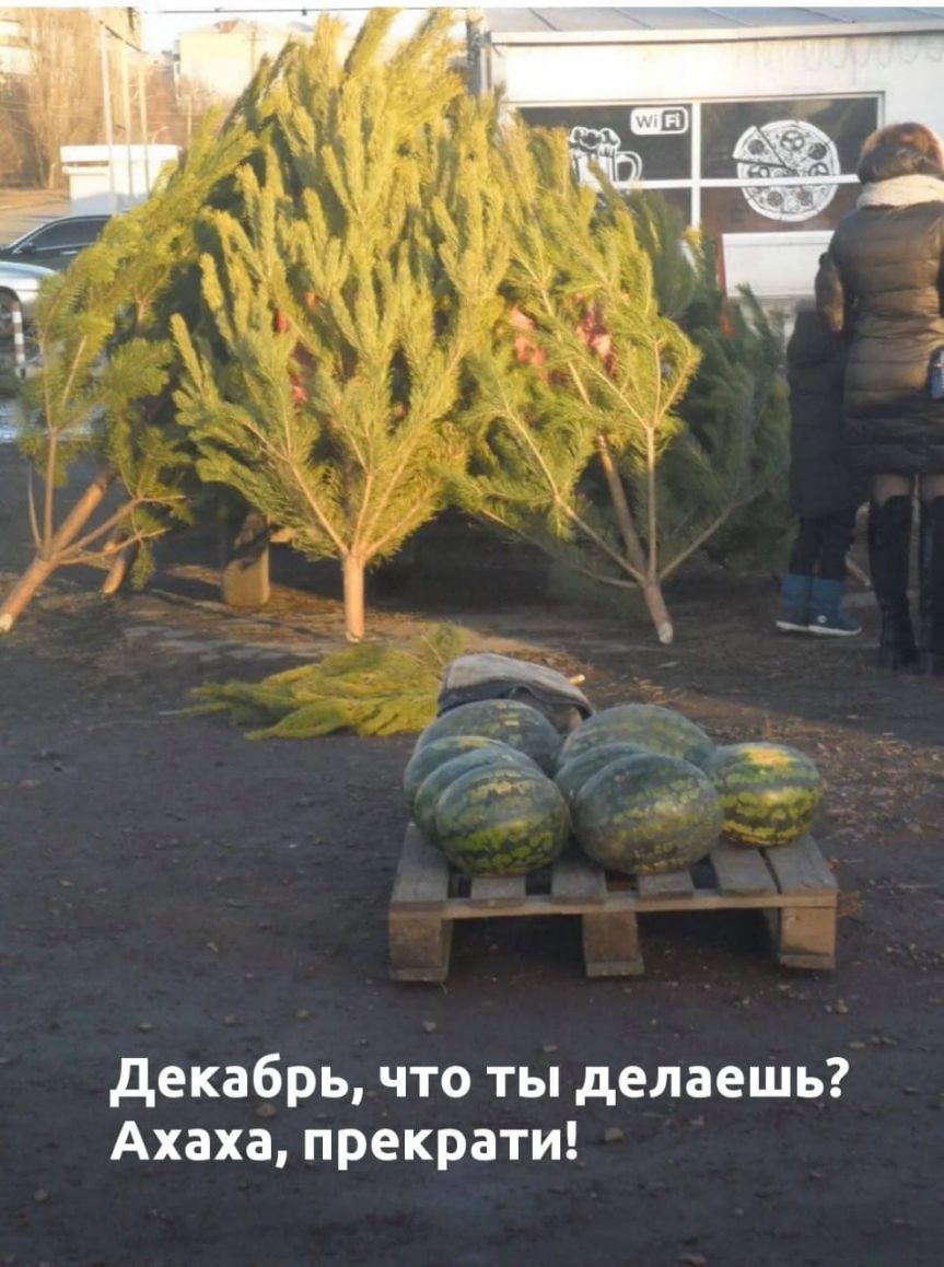 декабрь что ты делаешь Ахаха прекрати