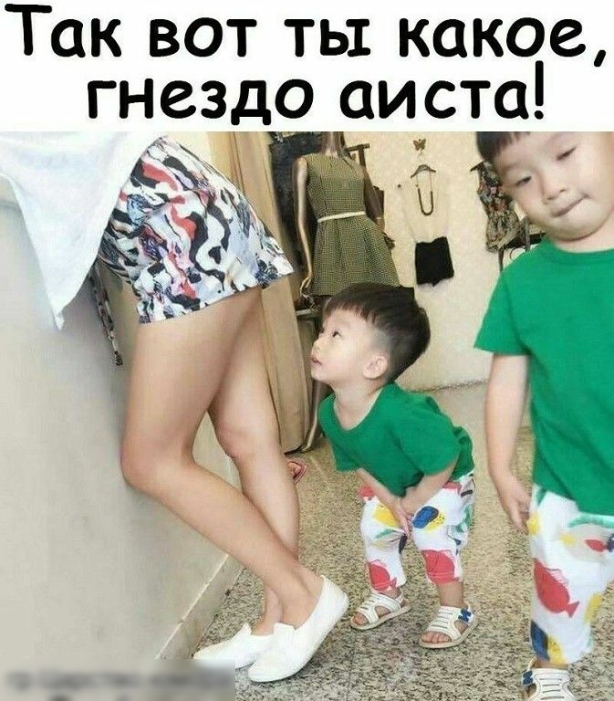 Так вот ть какое гнездо аи стс_1