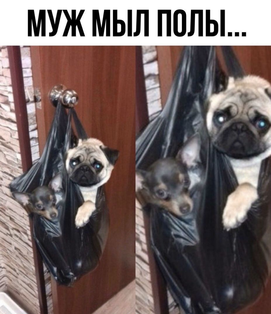 МУЖ МЫЛ ПОЛЫ