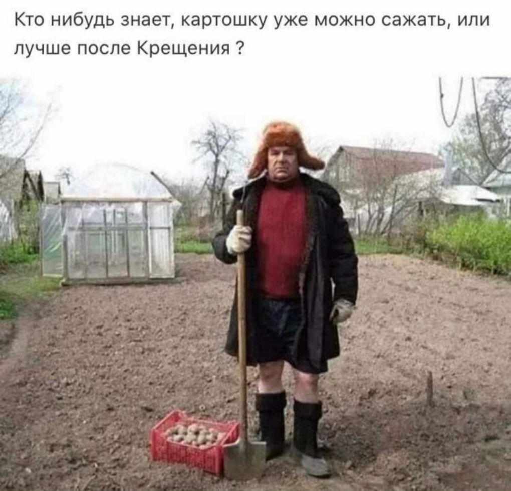 Кто нибудь знает картошку уже можно сажать или лучше после Крещения