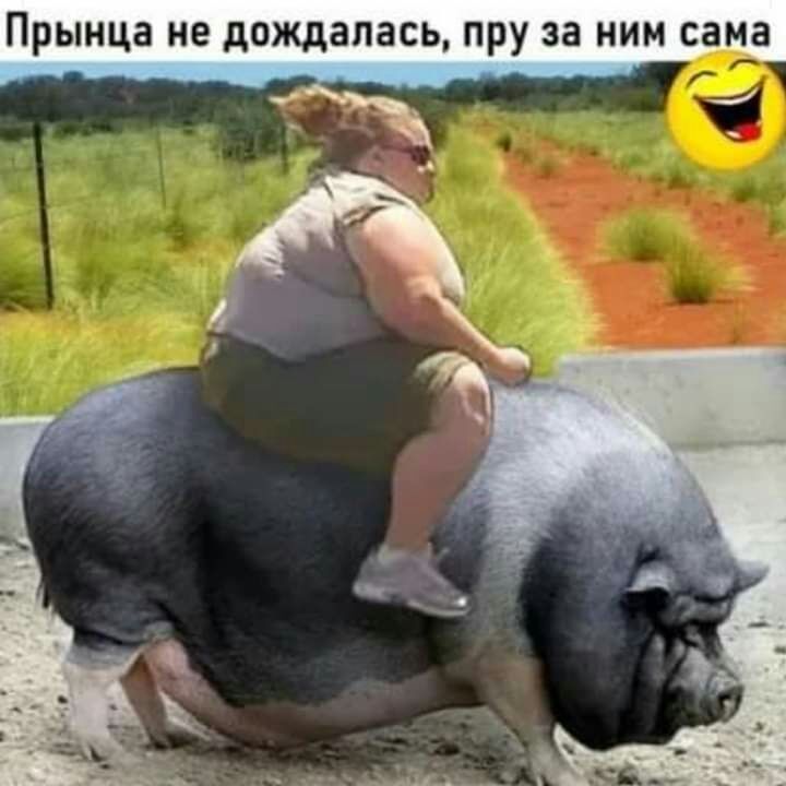 ПРЫНЦЗ не дождалась пру за НИМ сама и