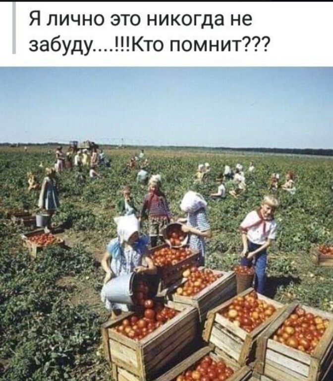 Кто помнит е н Э Ш 0 К И Н О и О Н Ч И Л Я забуду