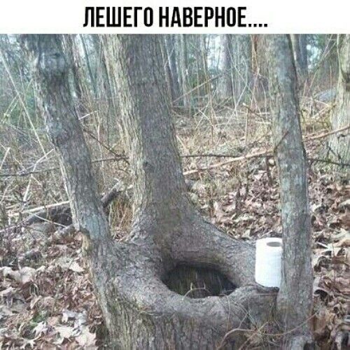 ЛЕШЕГ0 НАВЕРН0Е