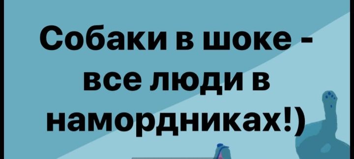 Собакивъцоке вселюдив намордникахп іі