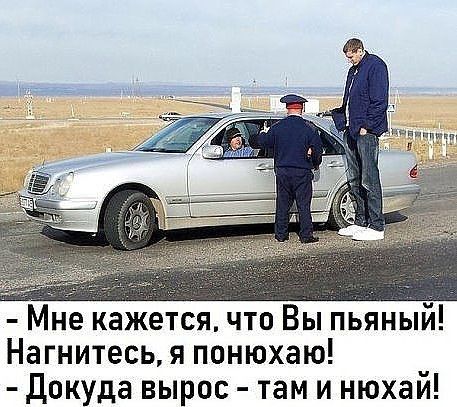 Мне кажется что Вы пьяный Нагнитесья понюхаю докуда вырос там и нюхаи