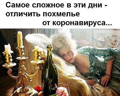 Самое сложное В ЭТИ ДНИ ОТЛИЧИТЬ похмелье от коронавируса ц д