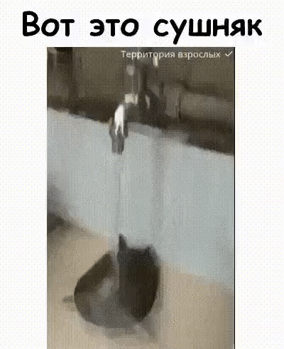 Вот это сушняк Террнірня дарить