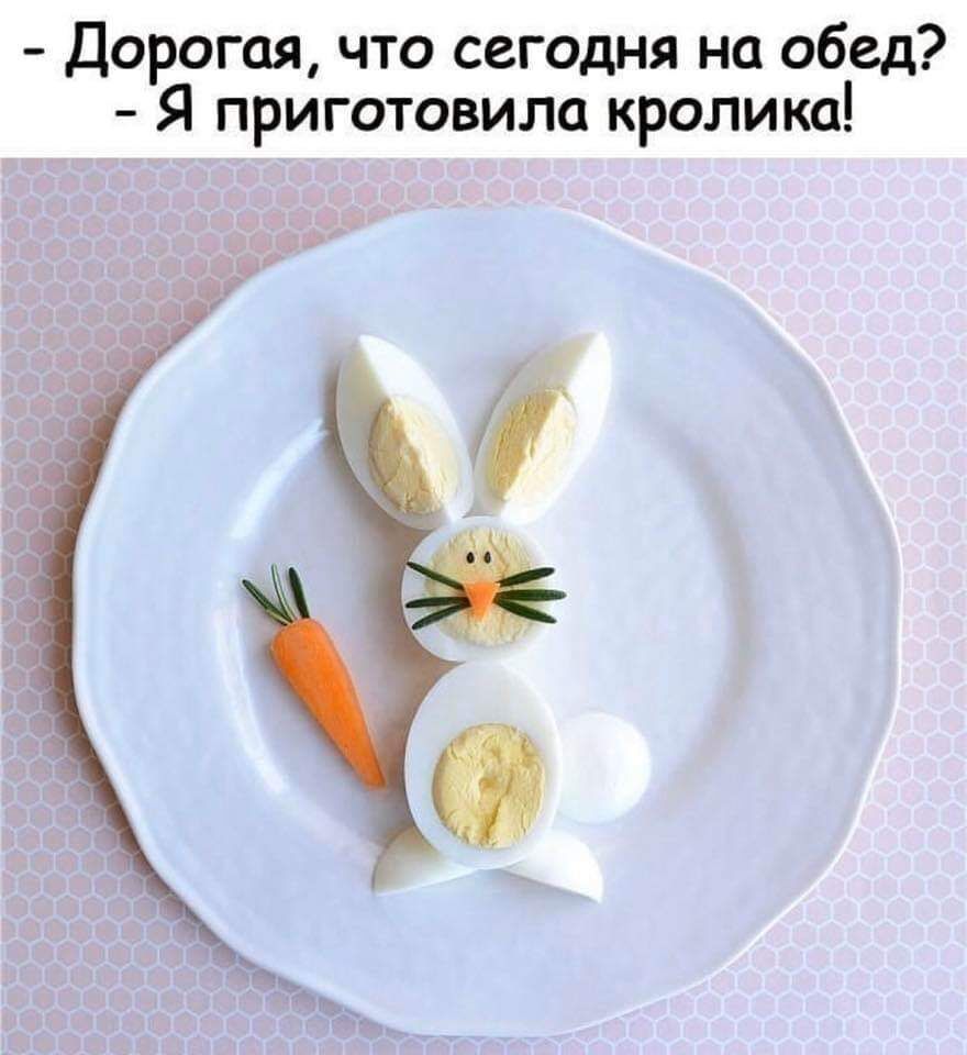 Дорогая что сегодня на обед Я приготовила кролика