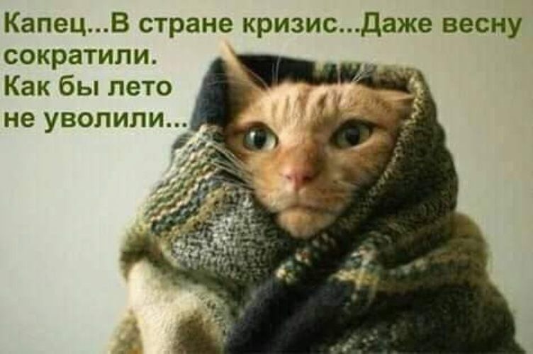 КапецВ стране кризисдаже весну сократили Как бы лето