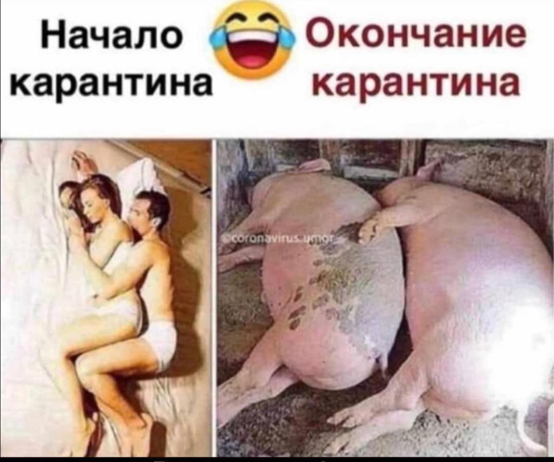 Начало Окончание карантина карантина