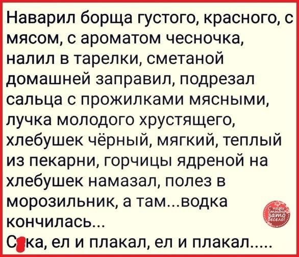 Наварил борща густого красного с мясом с ароматом чесночка налил в тарелки сметаной домашней заправил подрезал сальца с прожилками мясными пучка молодого хрустящего хлебушек чёрный мягкий теплый из пекарни горчицы ядреной на хлебушек намазал полез в морозильник а тамводка кончилась Ска ел И плакал ел И ПЛЭКаЛ