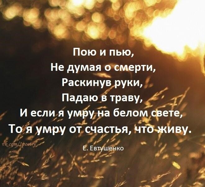 И Пою и пью Не думаяк о смерти Раскинувруки Падаю в траву 17 И если я умру на белом феТе То я умру от снастья Чтджілвгу Е ЕвЪЕеріко р 1 __ і 4 5 _ __ р ж _ 1