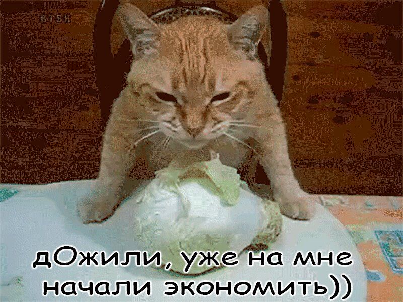 цу Жен ск мне начали экономить