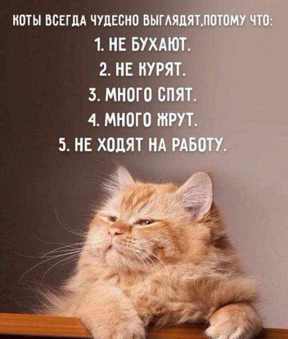 ноты вснгцд чуцвсно выгАЯд 1 НЕ БУХА 2 НЕ НУЕЯЁ