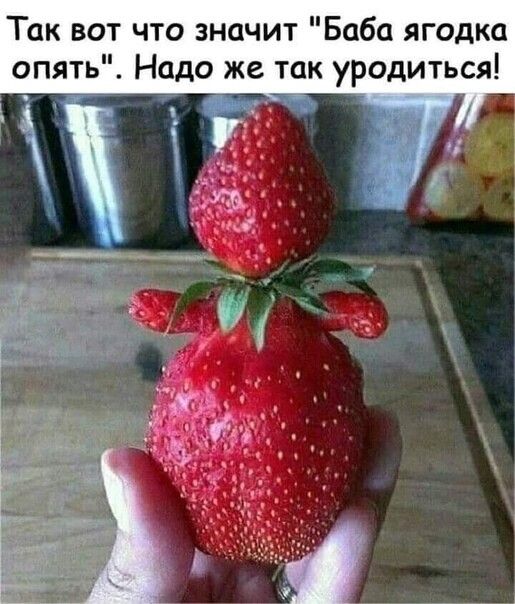 Так вот что значит Баба ягодка опять Надо же так уродиться