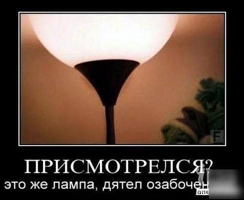 ПРИСМОТРЕЛС это же лампа дятел озабоч