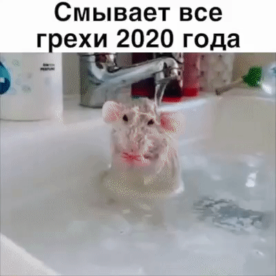 Смывает все грехи 2020 года
