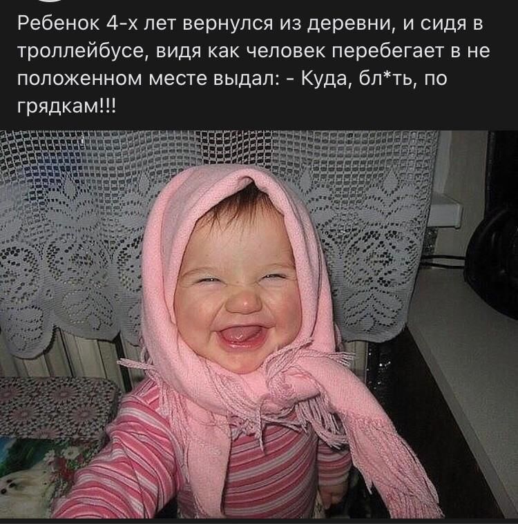 Ребенок 4 х лет вернулся из деревни и сидя в троллейбусе видя как человек перебегает в не положенном месте выдал Куда блть по грядкам