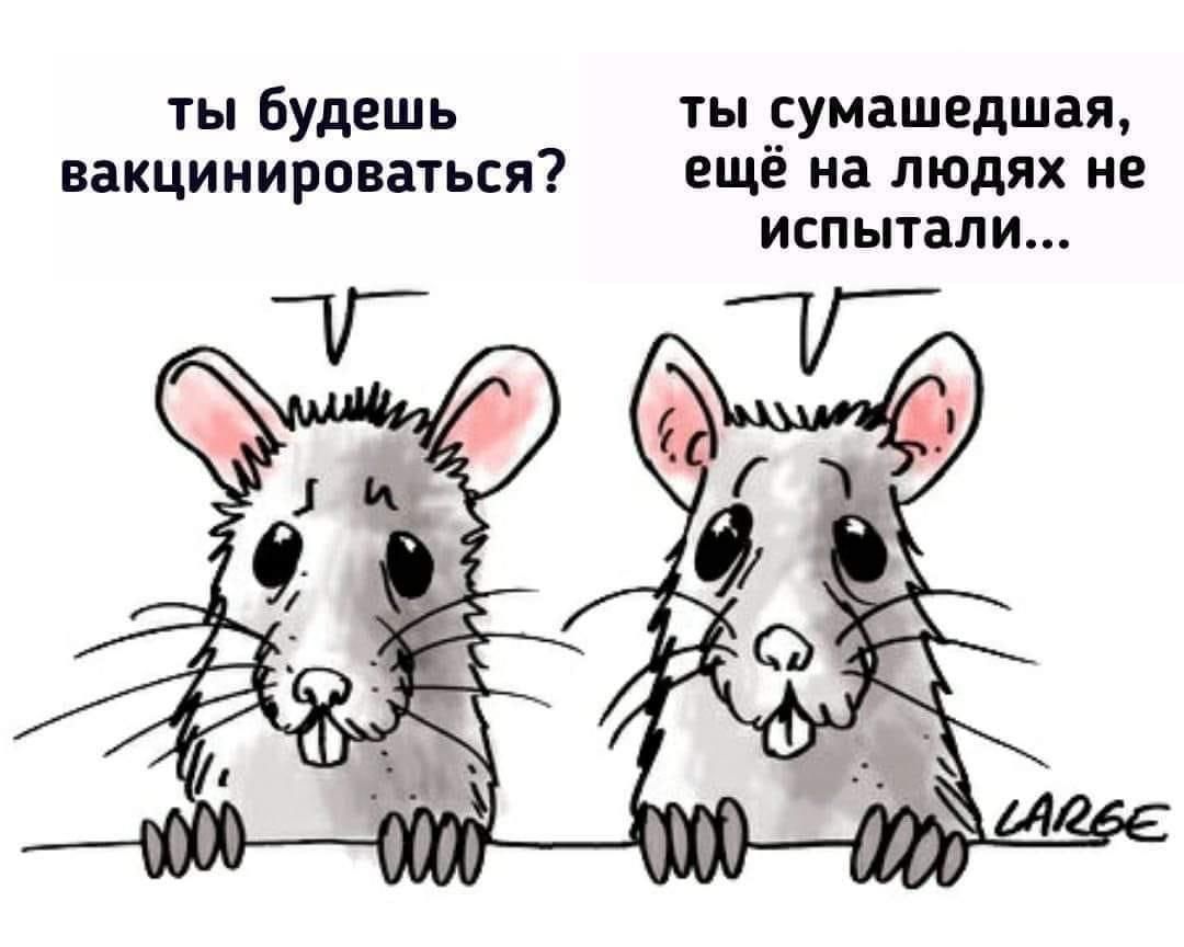 ТЫ будешь ТЫ СУМЗШЕДШЗЯ вакцинироваться ещё на людях не испытали