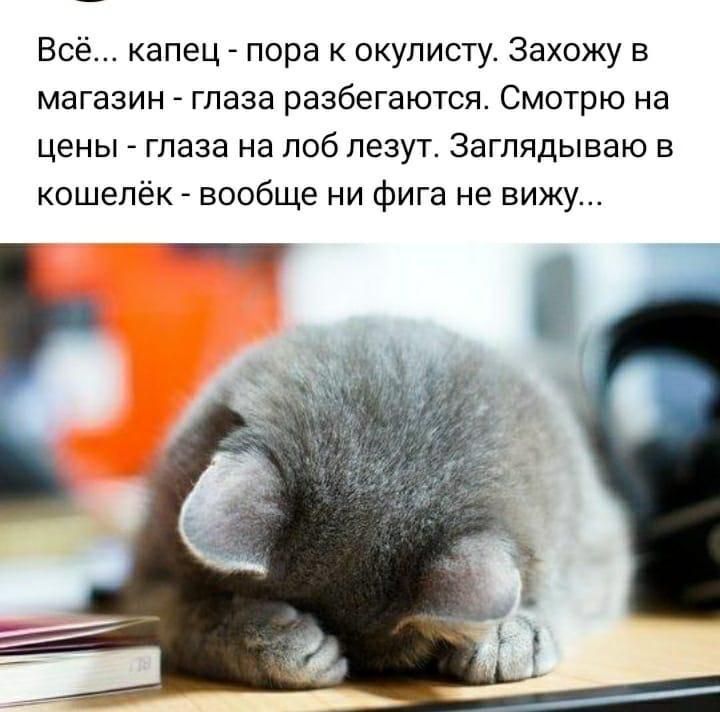 Всё капец пора к окулисту Захожу в магазин глаза разбегаются Смотрю на цены глаза на лоб лезут Заглядываю в кошелёк вообще ни фига не вижу
