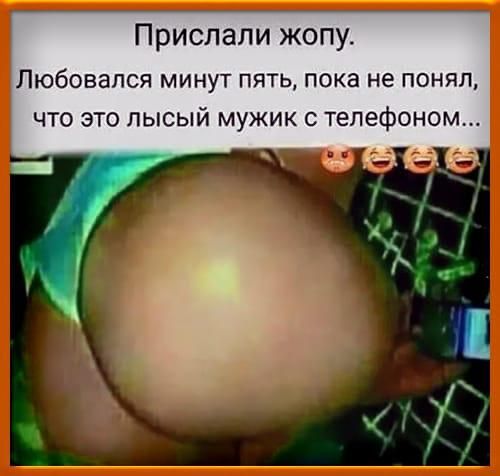 Прислали жопу Любовапся минут пять пока не понял что это лысый мужик с телефоном