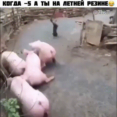 ГМ 5 ты ПЕШЕИ Р НЕ