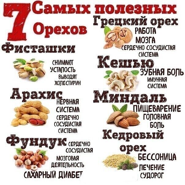 Самых полезных 1 ецкийо ек Орехов Рё Рнвотр мозга Фисташки ететдвчржадисмя 2 снимают шью ЁЁЪ 222 сзувння вопь имунная ХППЕСЩРИН ЁЁЖЁ СИСТЕМИ АЕЧШЁРБНМ Минц аль Ё сисгемн ПИЩЕВАРЕНИЕ ЕРДЕЧНО Г ОПОБНМ юстиция во Кедровый фунд дук сгрдечно сощистп 0 е мозговая БЕССОНИЦЯ двятгпънопъ _ ЛЕЧЕНИЕ АХАРНЫИ ЦИАБЕТ УПОРОГ