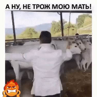А НУ НЕ ТРОЖ МОЮ МАТЬ