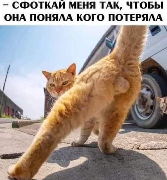 СФОТКАЙ МЕНЯ ТАК ЧТОБЫ ОНА ПОНЯАА КОГО ПОТЕРЯА Я