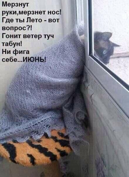 Мерзнут рукимерзнет нос Где ты Лето вот вопрос Гонит ветер туч табун